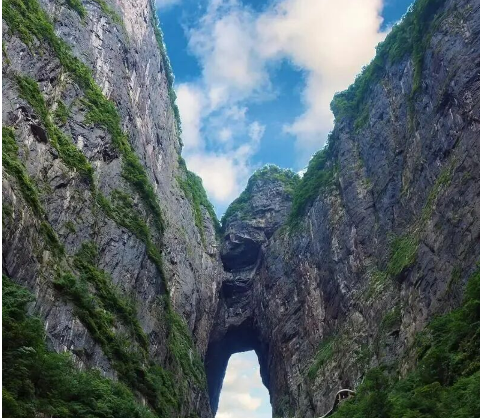 a08b8b60a624a45fff5cd31dbaf1d102