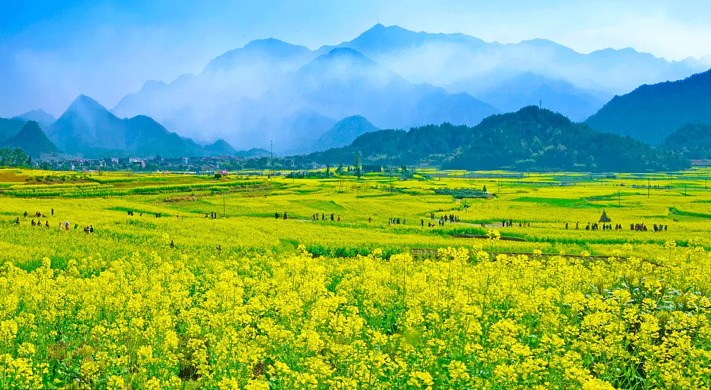 a0cb16e2a5f3b4546b2c90204bc4bca7-sz_1113060