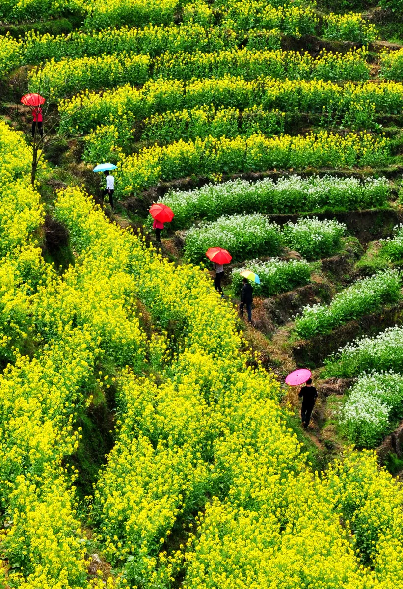 a0e9c10298f7eac8d722dc8555033d3c-sz_827009