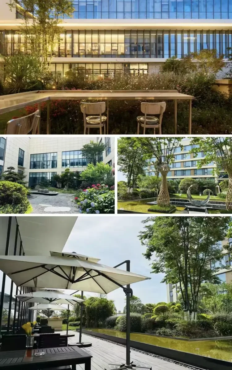 a123ef8d91bb31d112a367be17b56bf9-sz_405603 a123ef8d91bb31d112a367be17b56bf9-sz_405603