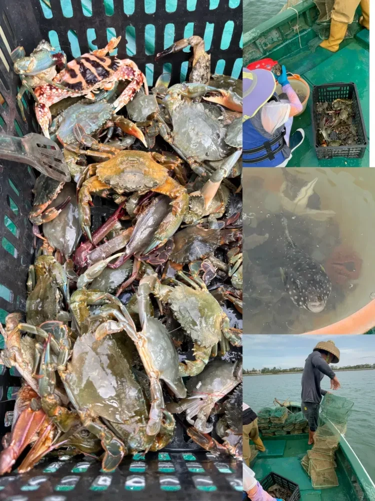 a17ab18148c64f2711072c26c8658e2b-sz_3805932