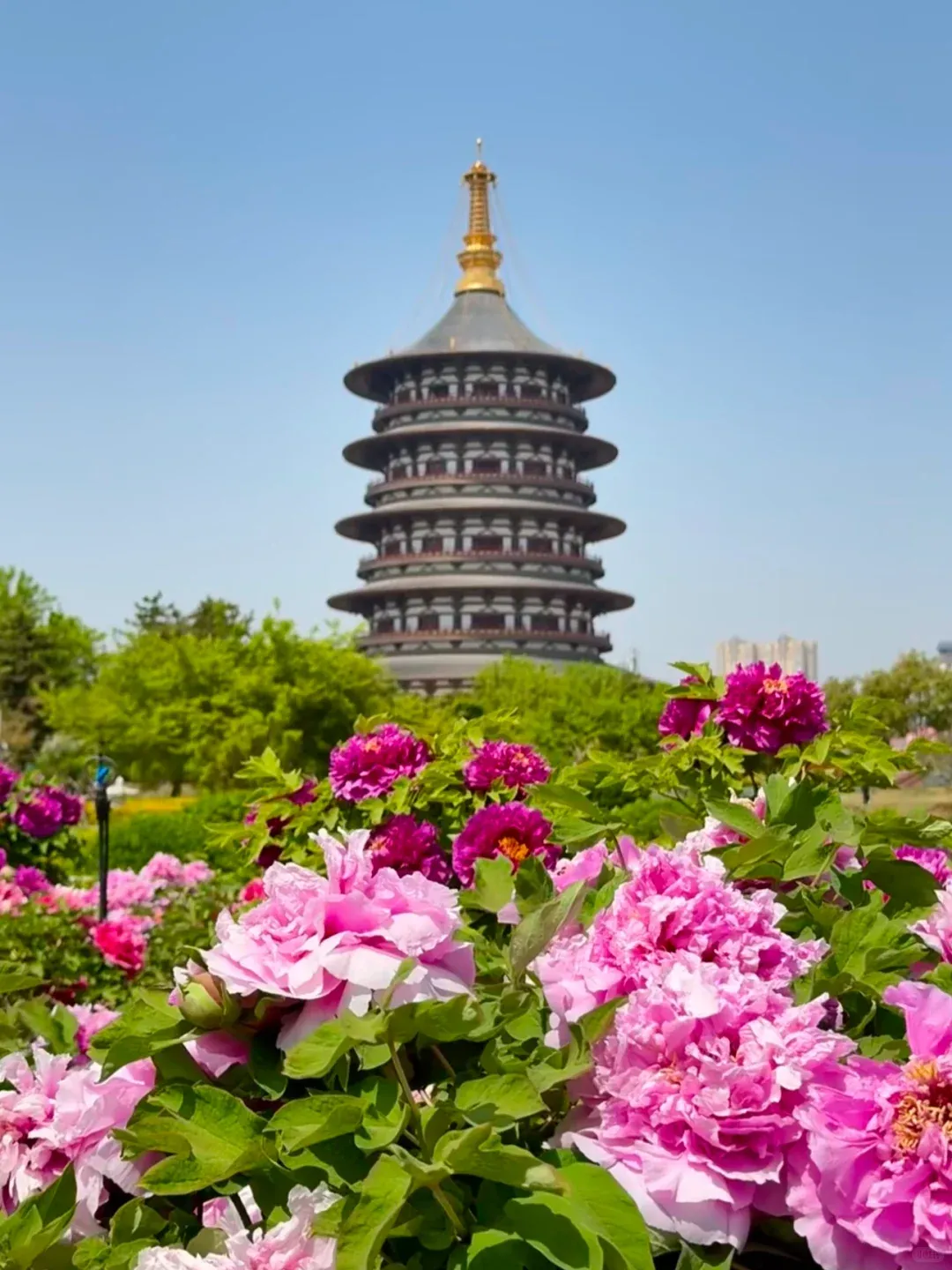 a1862147a1078eb7c797eb63d7135aed-sz_1767272