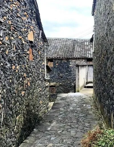 a191245b8b2367d7412c306f8c038115-sz_86689