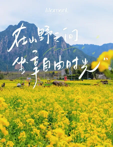 a19521b7ca99d6909f3bcc64440feeda-sz_654027