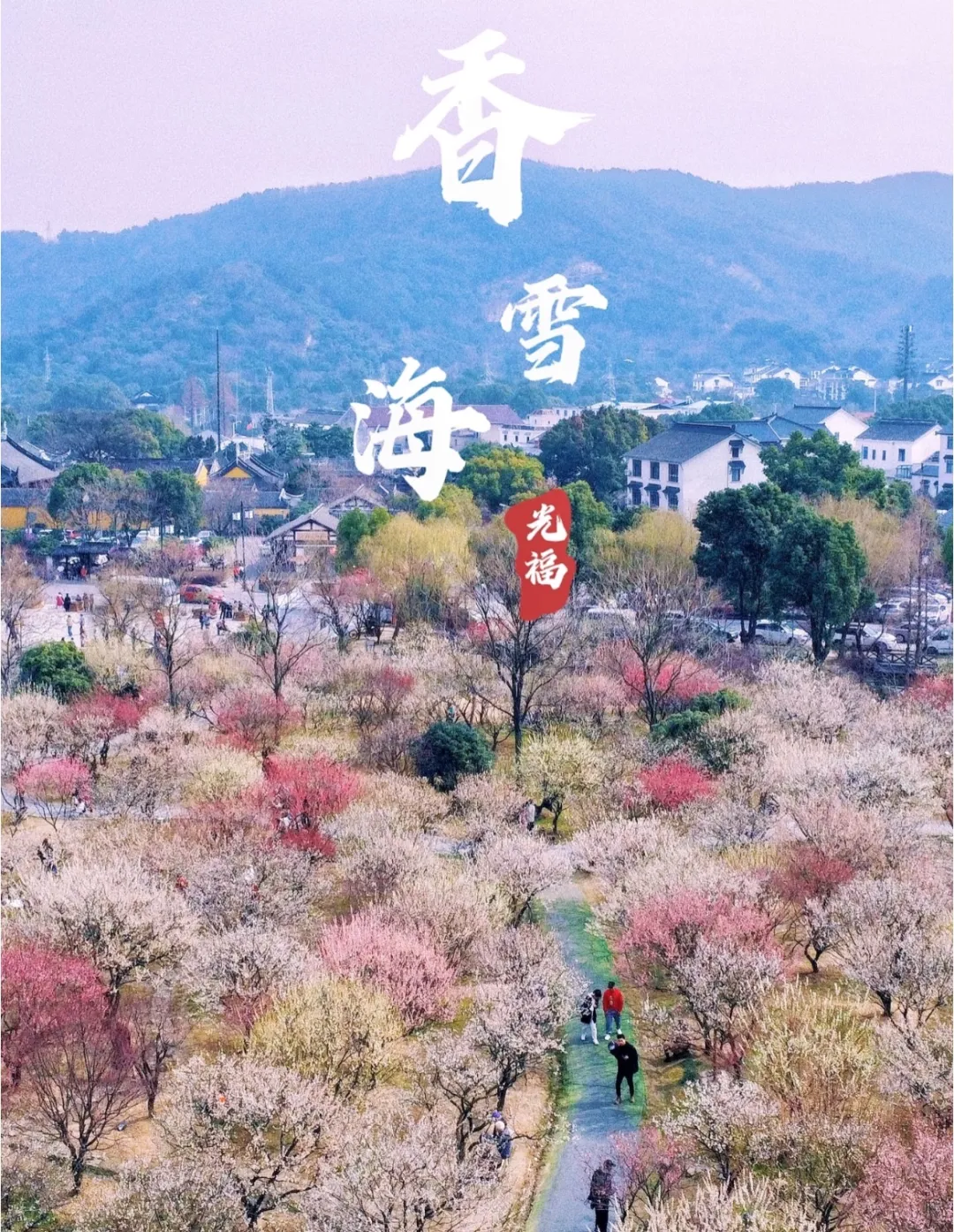 a1a102468da870baee8a67a12e93e048-sz_824698