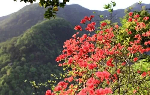 a1b95faa382553e59ed258da58f8bec3-sz_46166