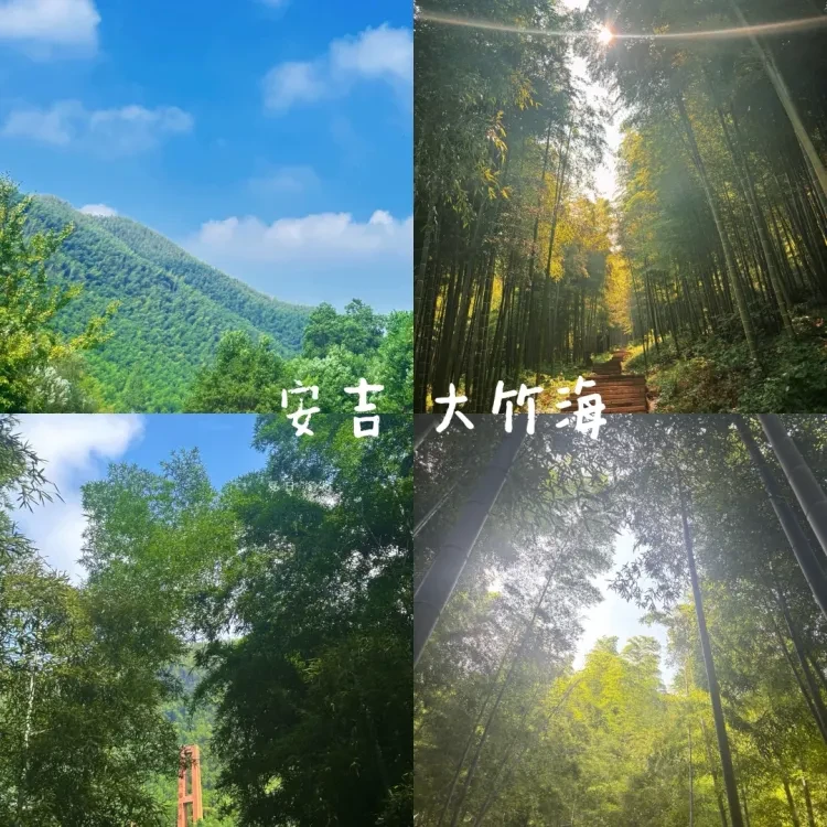 a22db6a475481ed48564c93c886afce5-sz_2701568