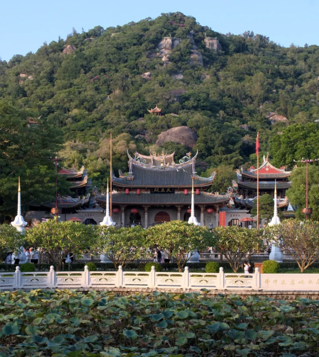 a37782471ea5806ff8cd5dda104c82ac-sz_2767019