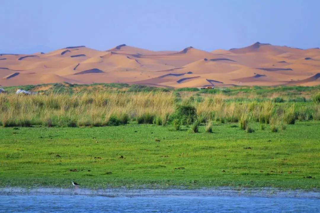 a3a11cfc47e987f62579074a3b530e4a-sz_121356 a3a11cfc47e987f62579074a3b530e4a-sz_121356