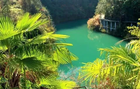 a481f53801db5e65991811f3a5c7780e-sz_435923