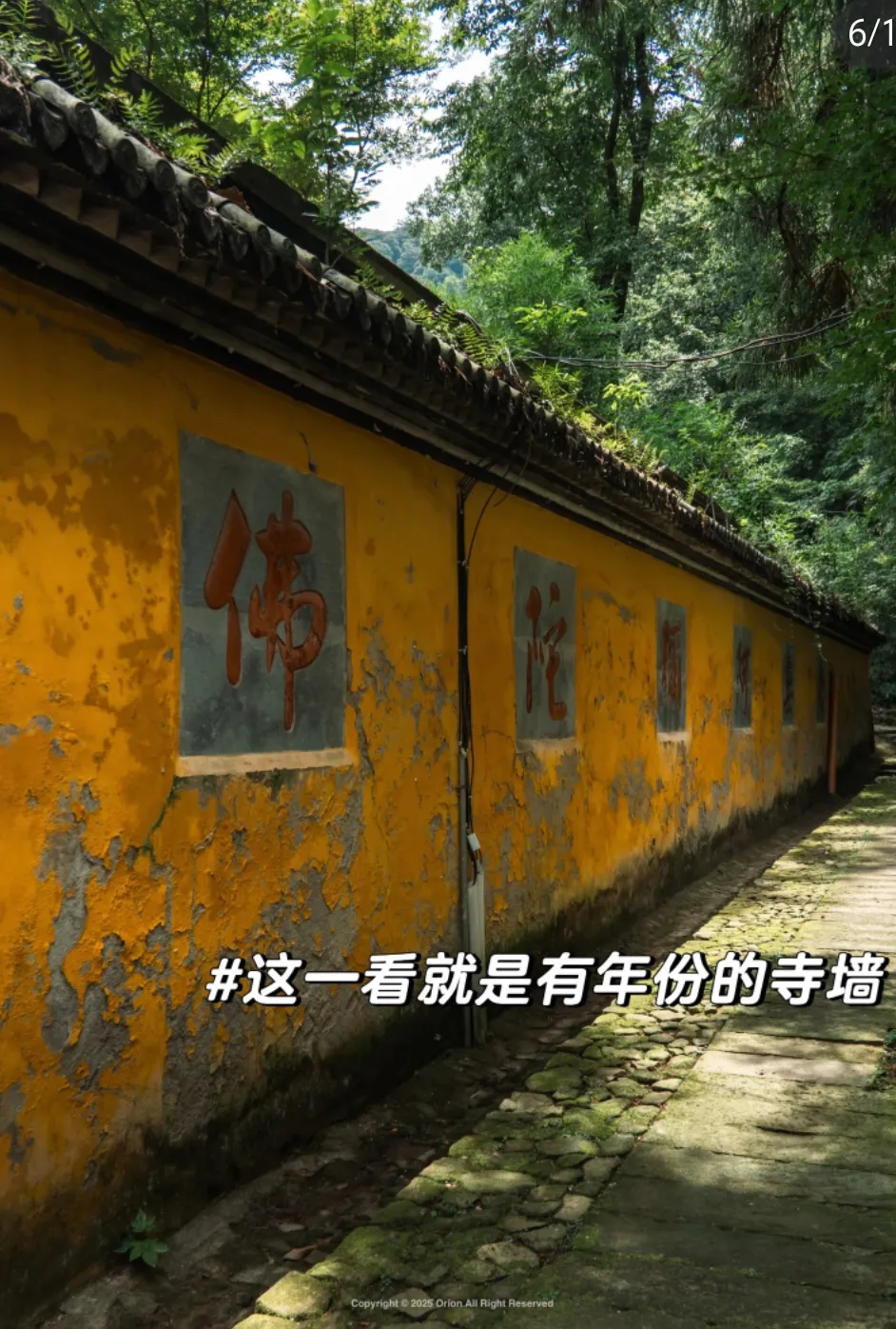 a4a233eb6a2e684b12f9f022e3018d45-sz_1266895