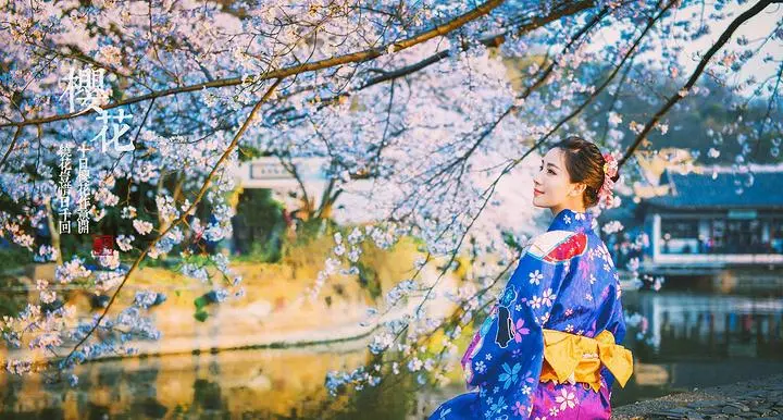 a4ae05d4a5d19f3a3a14d3d7a950c174-sz_85648-1