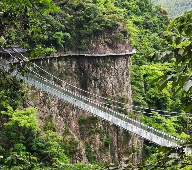 a52f059aa85674e57d1604a121c16315-sz_918605