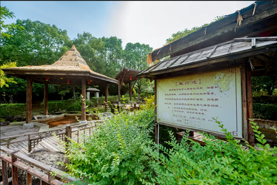 a55b4b2bc85db12c45872097099349c4-sz_1665333