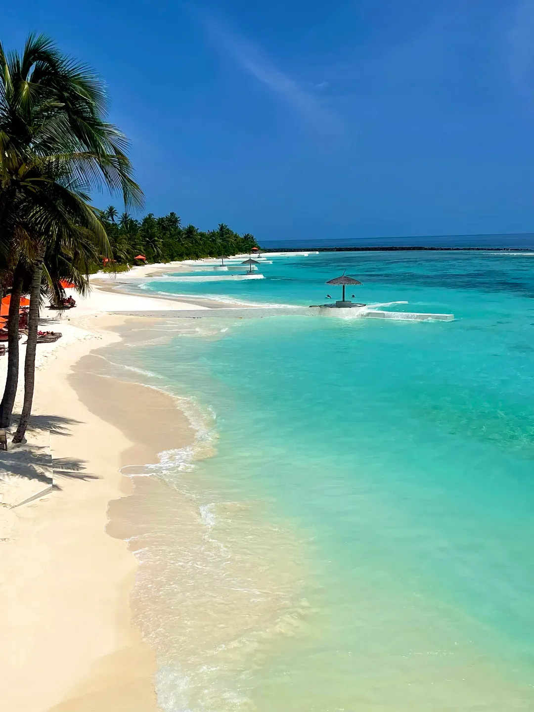 a598a02b8f83de4231073b3305ea08c1-sz_1302052