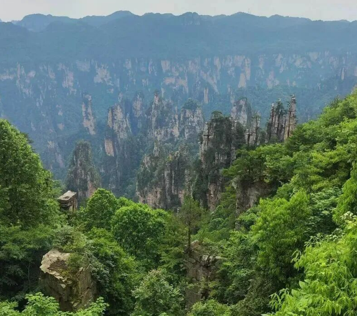 a5eb111ff1eede45e1647a87601f63e8