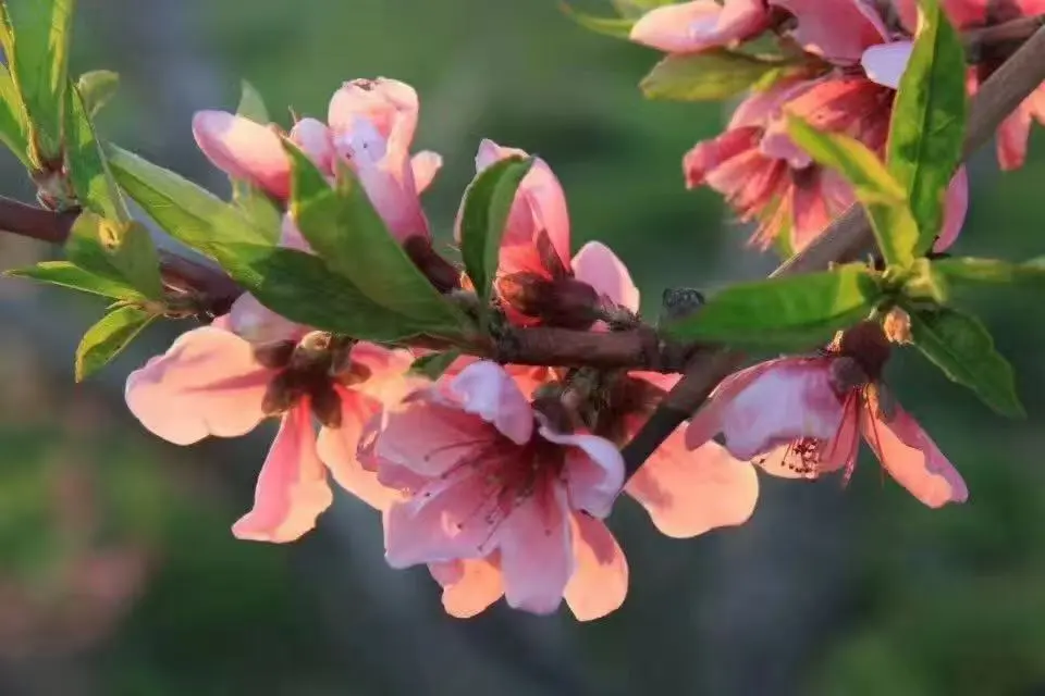 a5ef8c89921642fbf3122ffeafa6b061-sz_58285