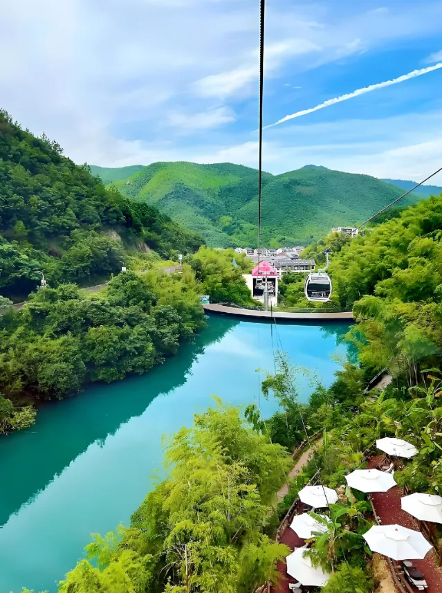 a660600295103b9a699147d668b8be22-sz_1278607