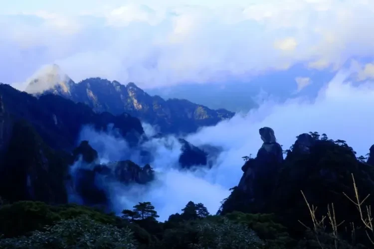 a6a85899d866653036216240409c00fa-sz_64408