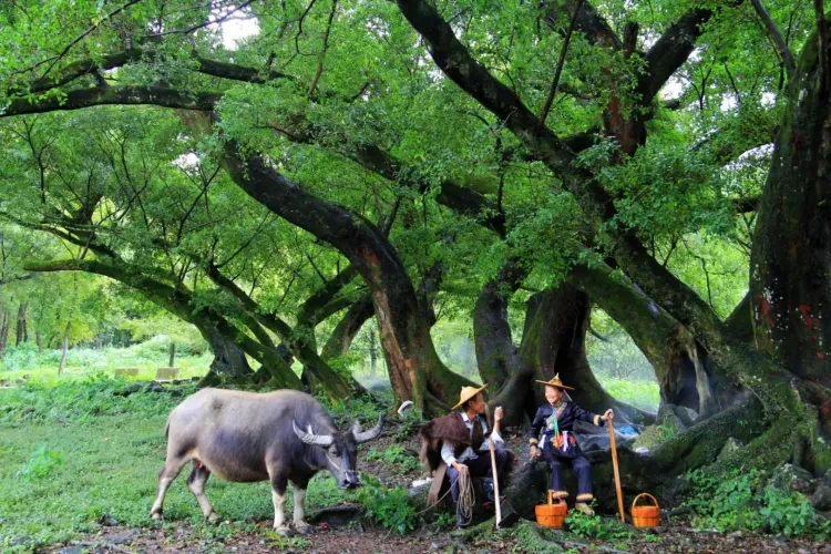 a6ea7cb9f80191adc03634dbab22ade9-sz_4694436