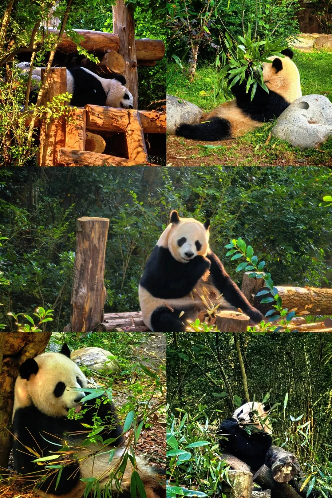 a709bddc27a5ece525000a25e36fa4bd-sz_826413