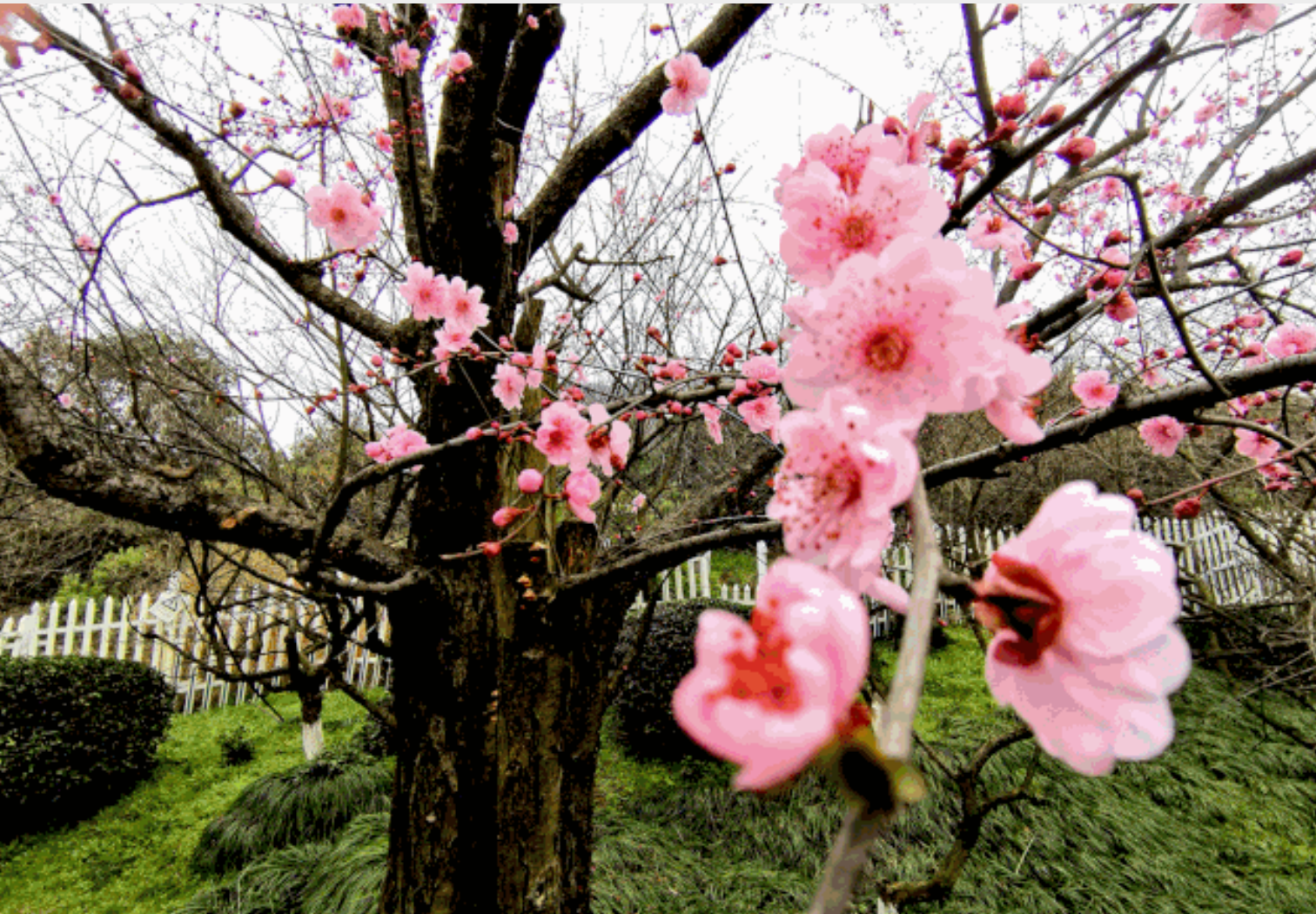 a77093d37eb971c5bf86c4e943a816d5