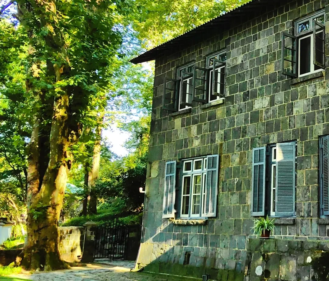 a7b23b51299eb808821c5b4d241c7542-sz_4510939