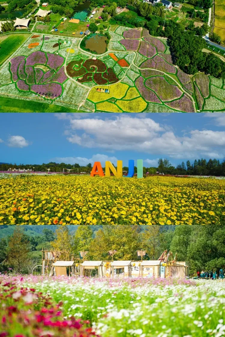 a7bdf9035e5081dd4f578254eb4ab8b9-sz_4448583