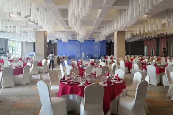 a7c3bd98ec1810fb4fcc78ef481bba61-sz_447943