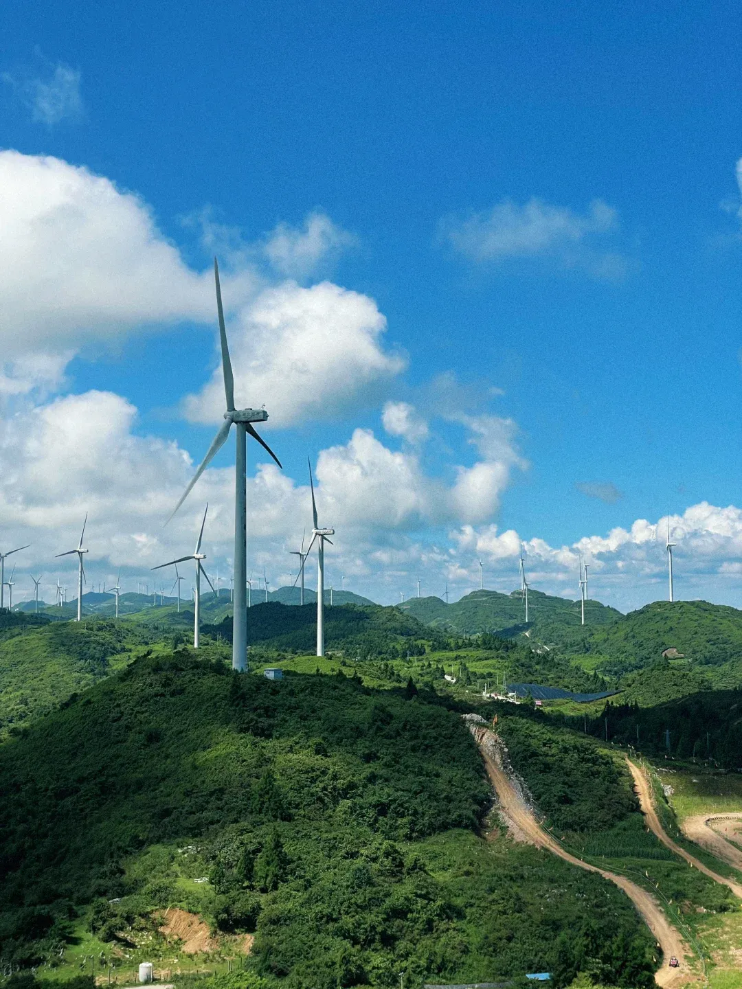 a7c491d722be8943030bddc52dedef73-sz_2676889