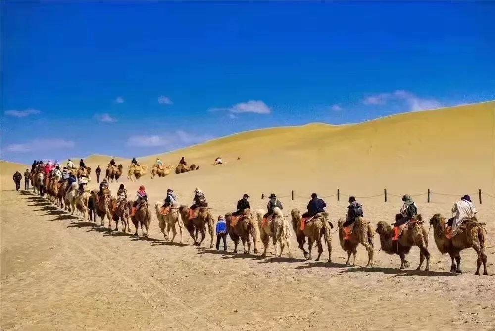 a80d45b5855220f0d7b63a01bdb4d110-sz_358864-1 a80d45b5855220f0d7b63a01bdb4d110-sz_358864-1