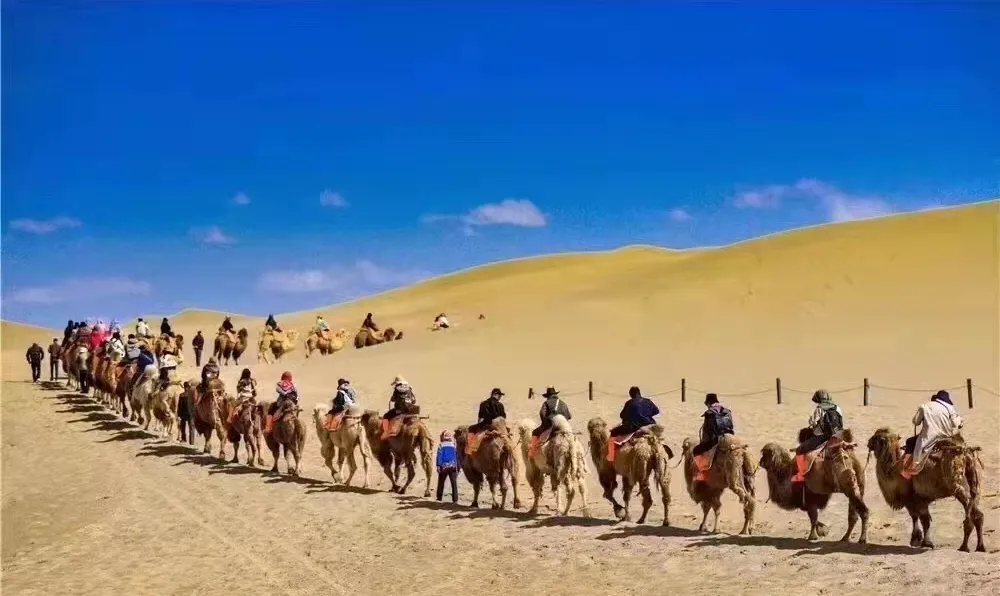 乐享·超值888甘青30-70岁|超值特价；可升级2+1车醉美季节！！赠《回道张掖》表演•4大特色菜