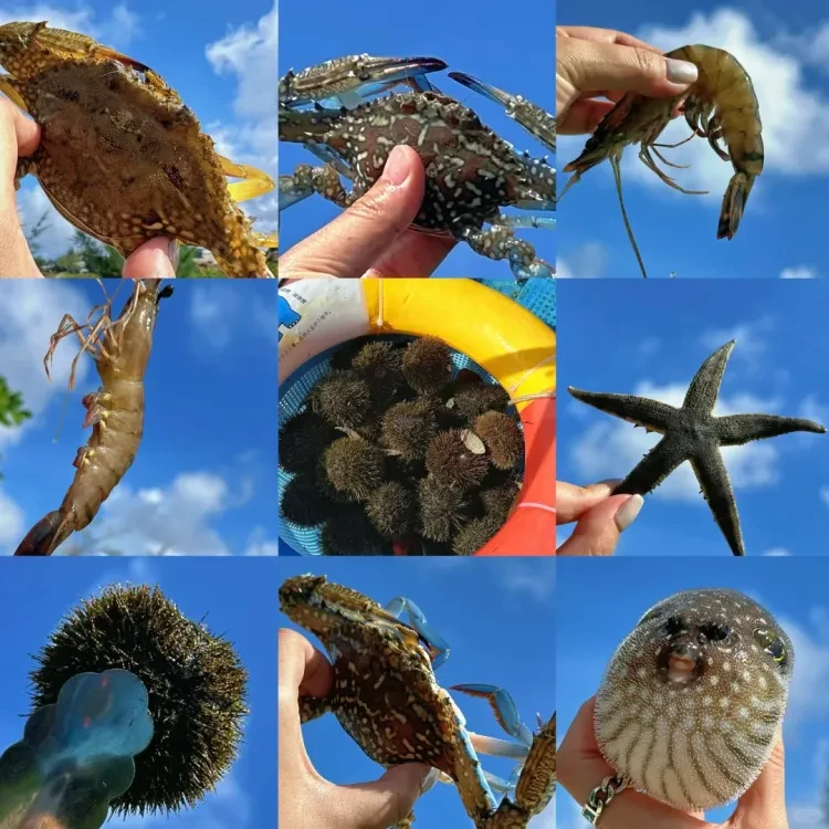 a811ff6156a00596937792c73a9866ed-sz_2221446