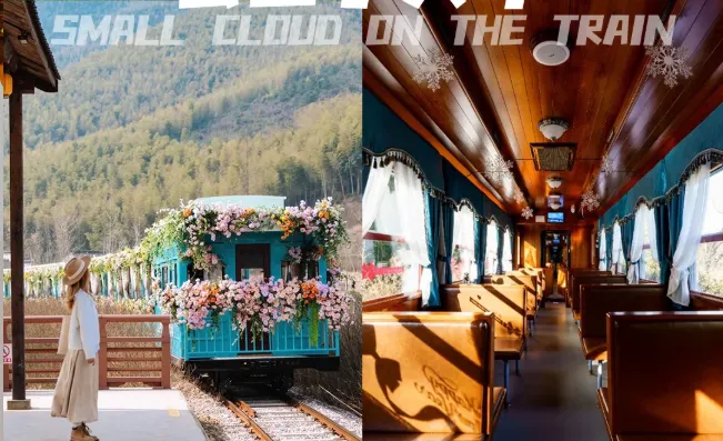 a81d265782358de8cabdbb12b40d904b-sz_608179