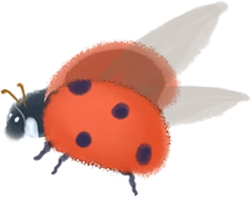 a862586e9be4d83d689ceb082fd24c12_sz-143178 a862586e9be4d83d689ceb082fd24c12_sz-143178