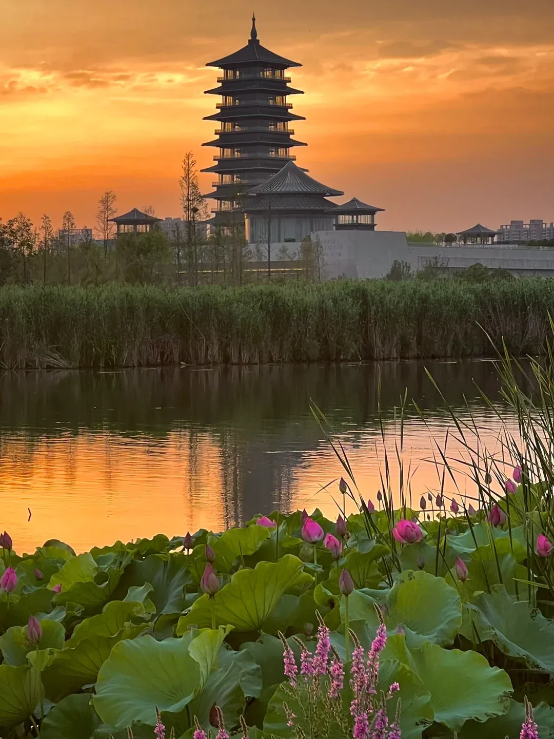 a8a3ae4318430e8b786a1f7b74478bd8-sz_1829661