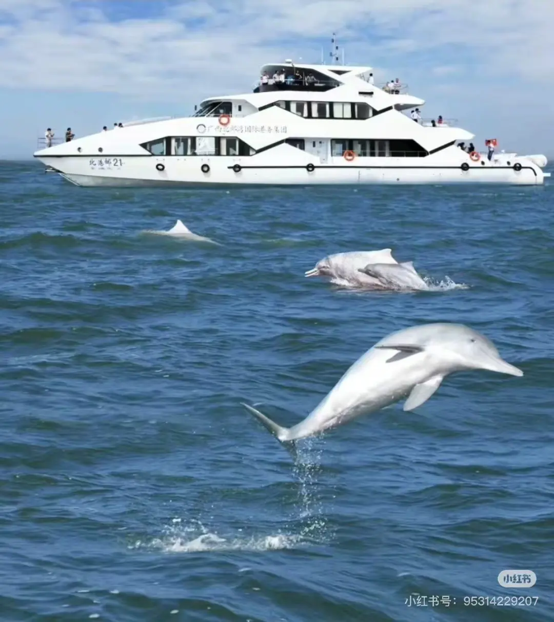 a8acdb37b8880283d5dc0986b8ac0156-sz_158174