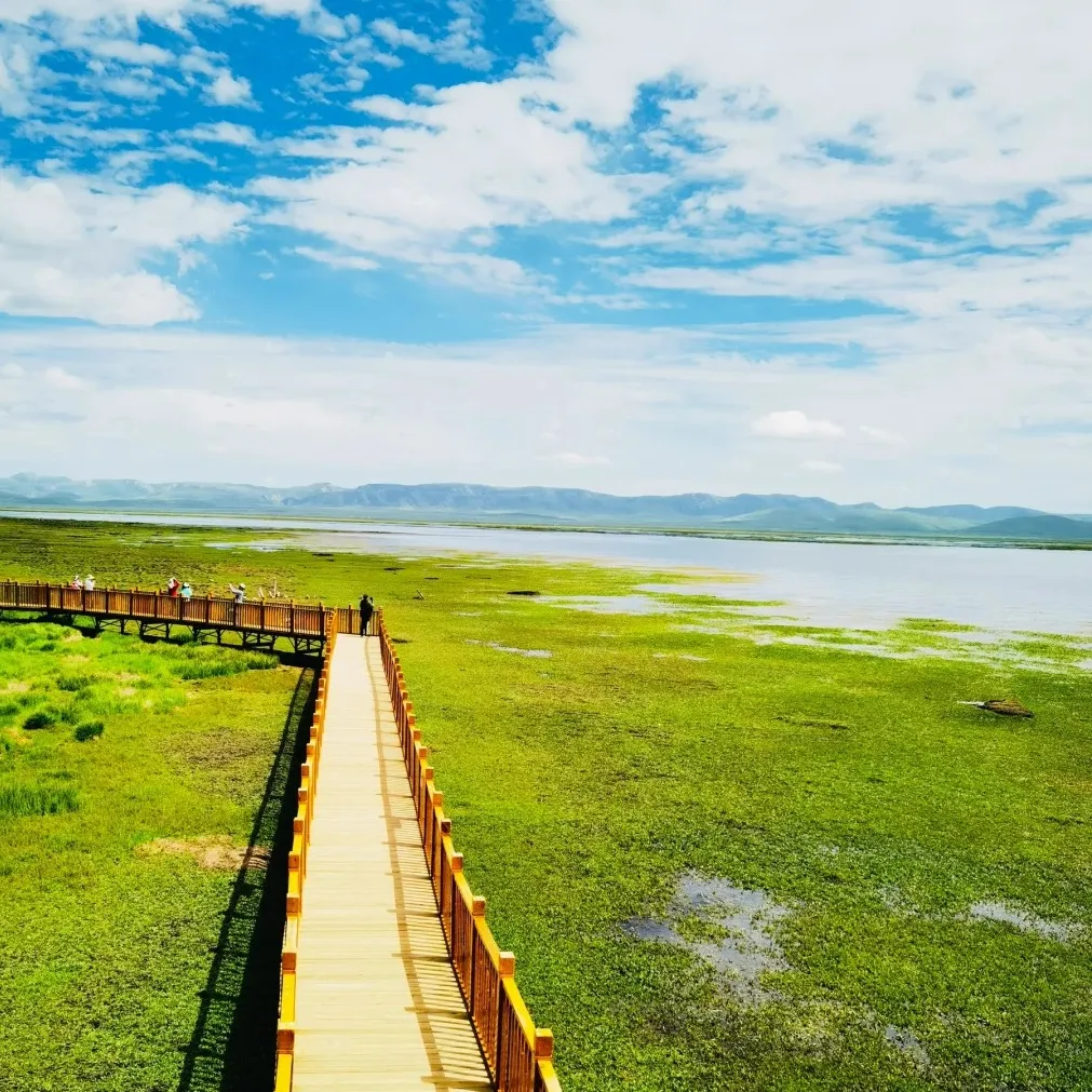 a8e703f1c06540fb3fc344fb71d04d71-sz_594350 a8e703f1c06540fb3fc344fb71d04d71-sz_594350