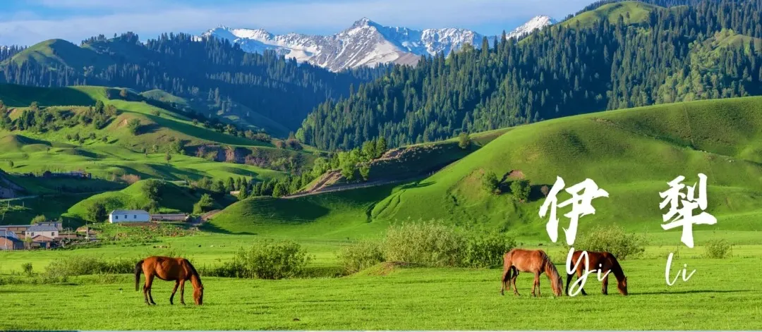 a95e0a164836fc4cbb1318450f13bbf3-sz_620312-1