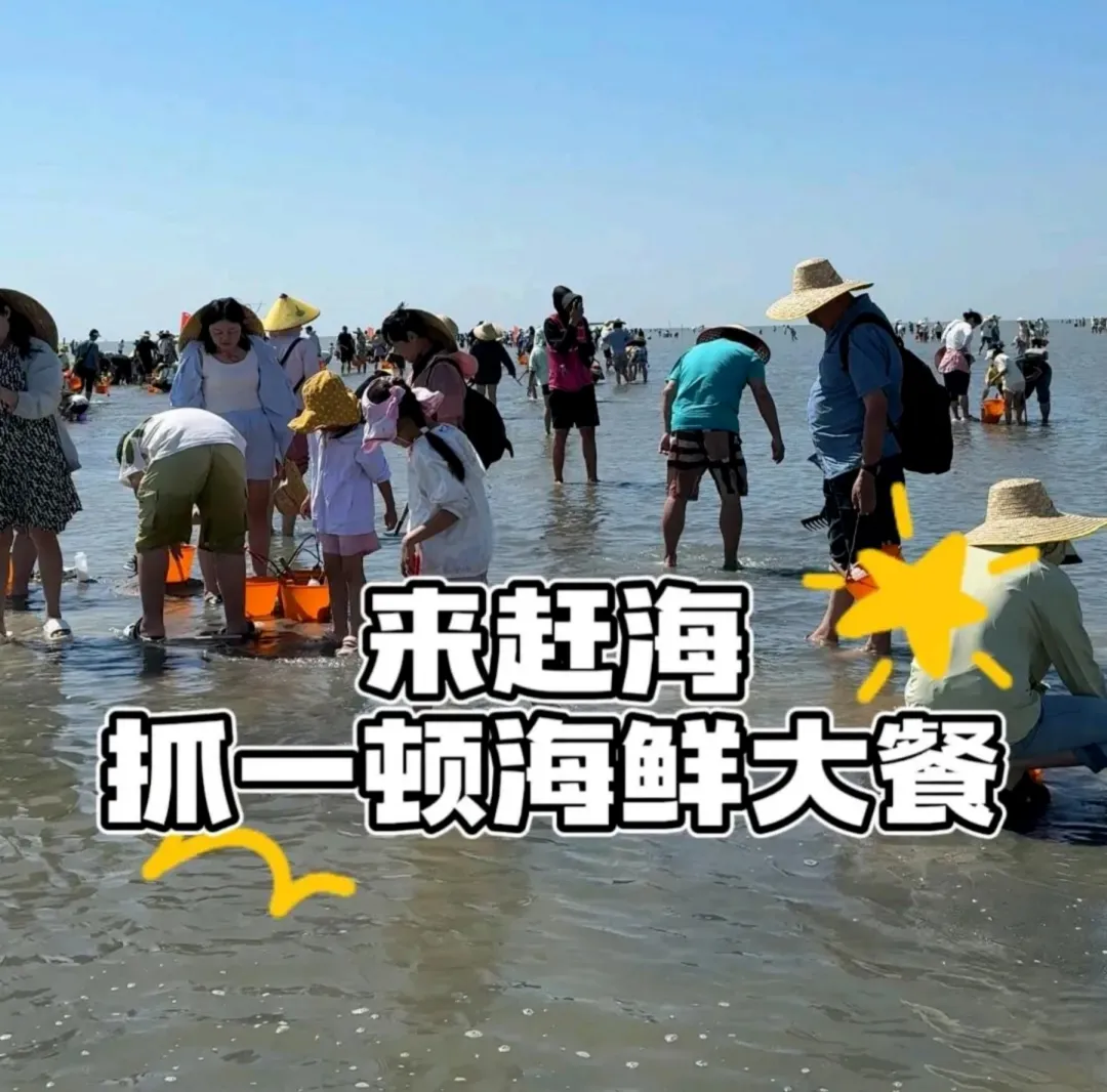 a96fe07786fcf39fb523b2fb2749cfaf-sz_453100