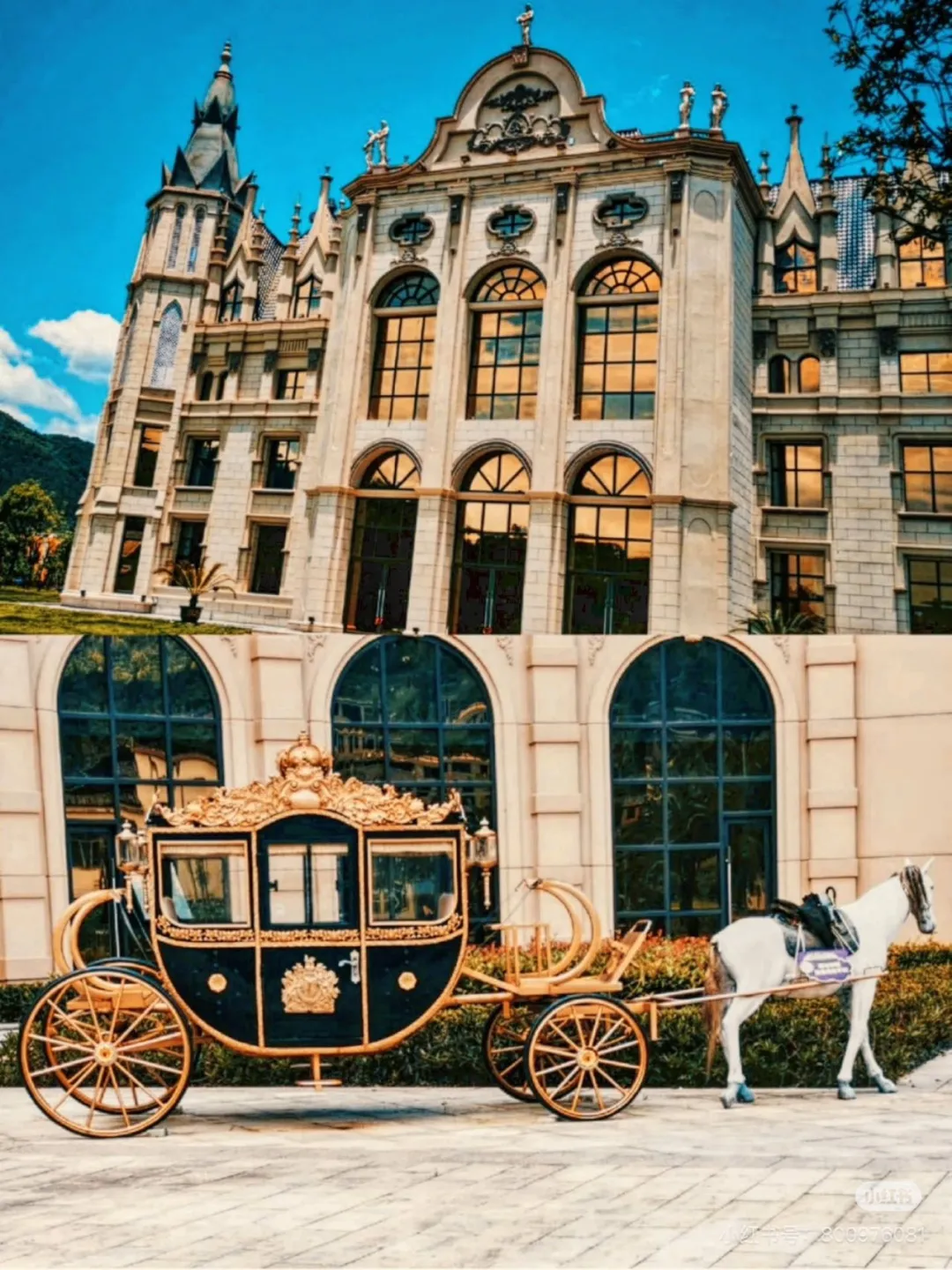 a9fa2aecee08bbcbe9e4c39d5f39f839-sz_467152