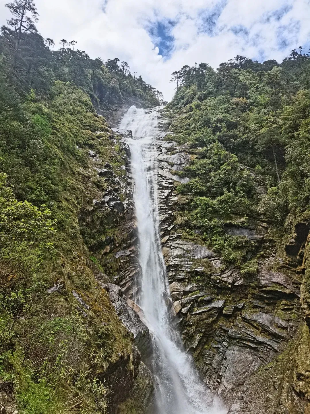 aa09480135bac1efb6cee8b1adfb5732-sz_771231