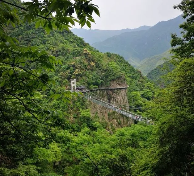 aa54eff2ae4c36ca1182242e89a36e1d-sz_820478