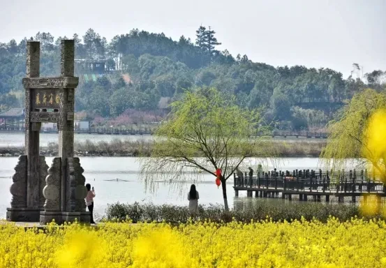 ab1a19af1fde9fa3b467b1a836632847-sz_427313