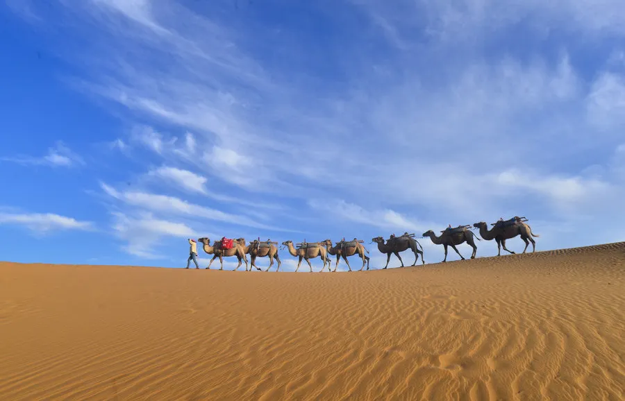 ac2ef2266005c74297758de45f3a44e0-sz_121457