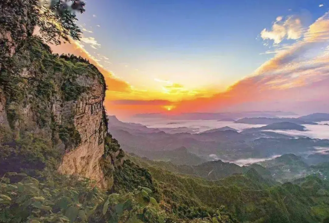 ac8d0e5cd049748b33258a7b4f0050e1-sz_1803301-1