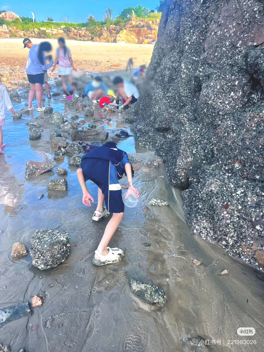 aca537dd3a2c8180e3cf5d549a145144-sz_904601