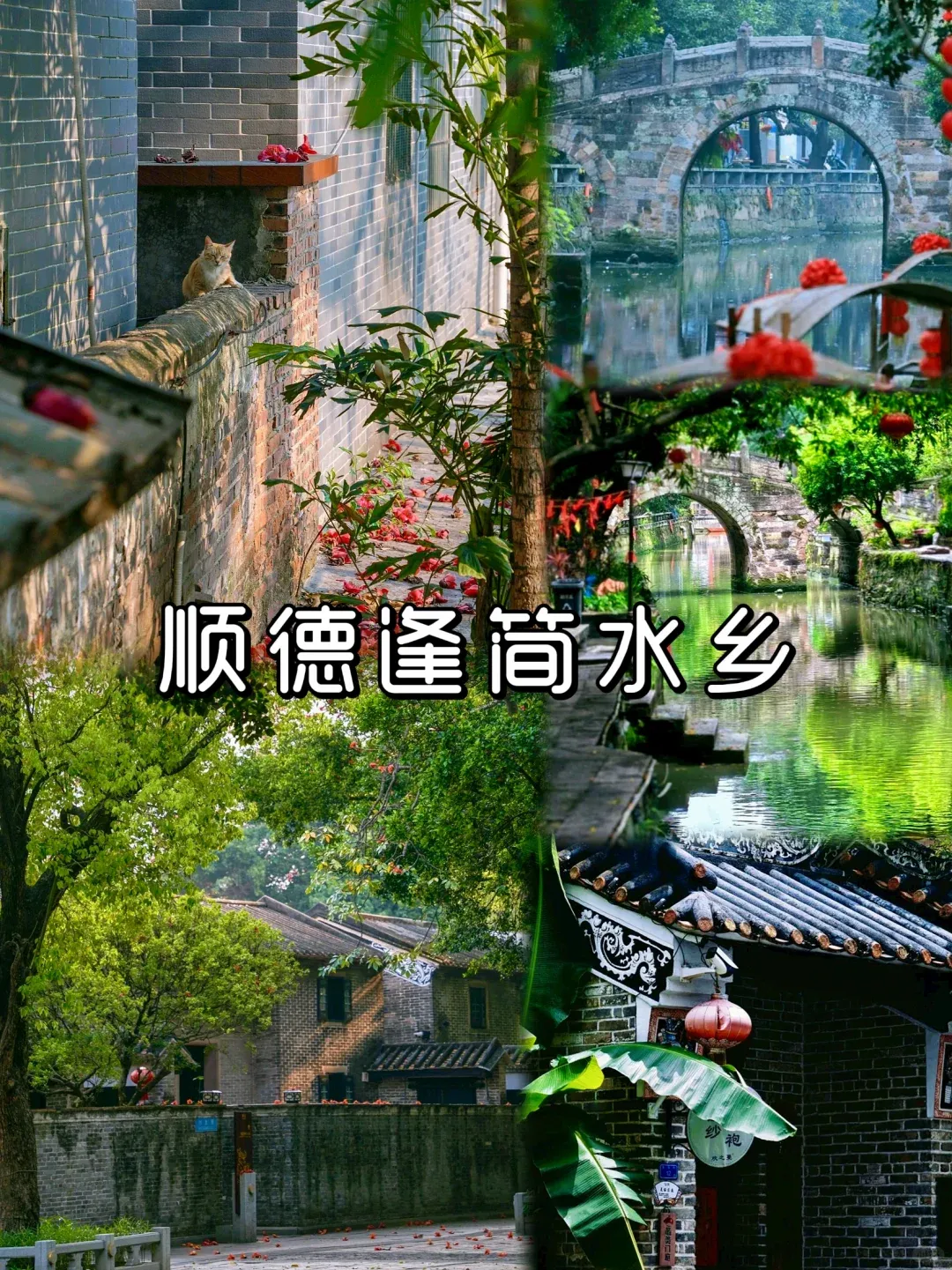 acafc01fb5e6b1afc6b953e328511f88-sz_4002655