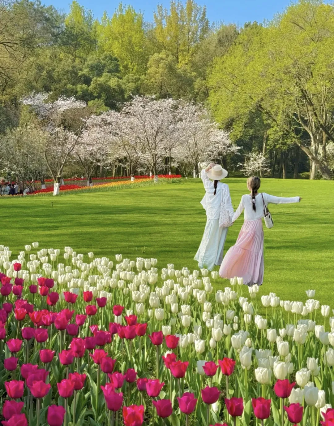 acbe85b43736d13e898265cf590f7397-sz_1549257