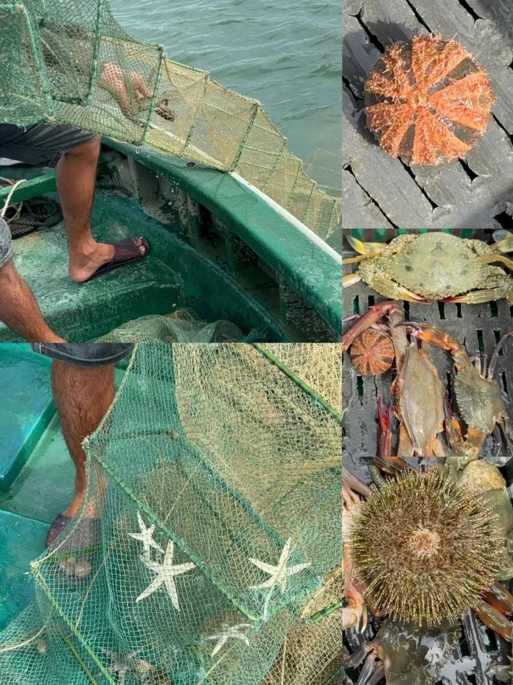 acface10b8f0bdc6b0fb0e28f0a52100-sz_4106842